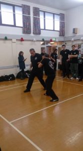 KRAV MAGA S.F.C.