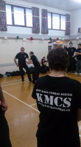 KRAV MAGA S.F.C.