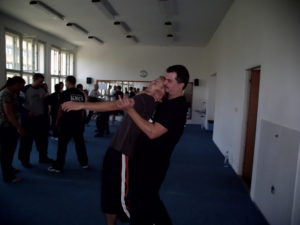 KRAV MAGA S.F.C.