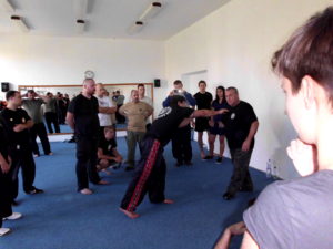 Krav Maga S.F.C.