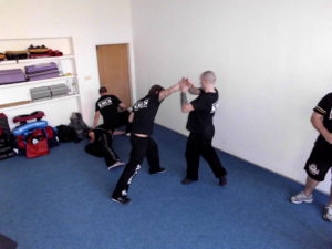 Krav Maga S.F.C.