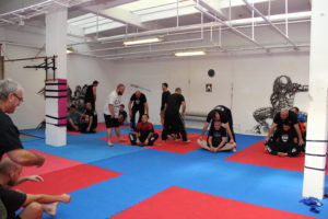 KRAV MAGA S.F.C. - ALEX PARIS