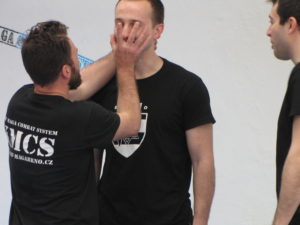 KRAV MAGA S.F.C.