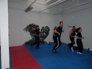 KRAV MAGA S.F.C.